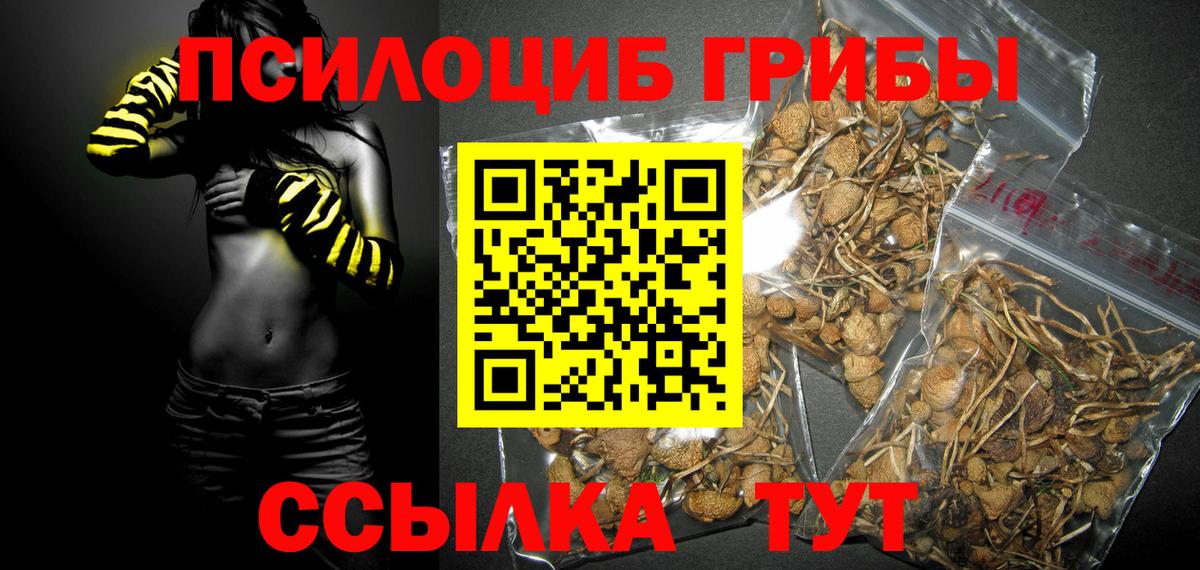 Псилоцибиновые грибы GOLDEN TEACHER Артём